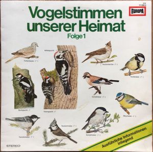 Artikel Bild