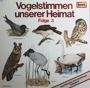 Artikel Bild
